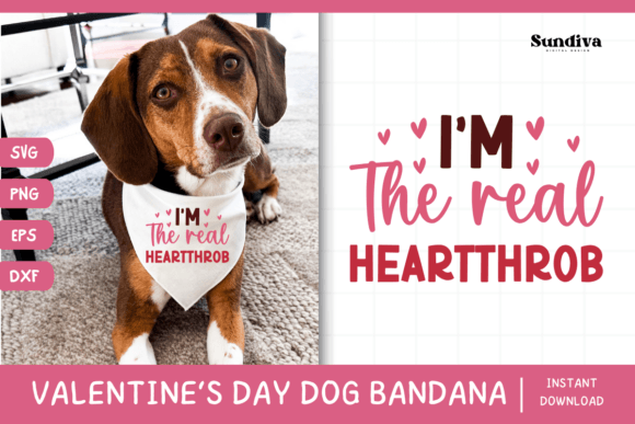 Cute Valentines Day Dog Bandana Quote 12